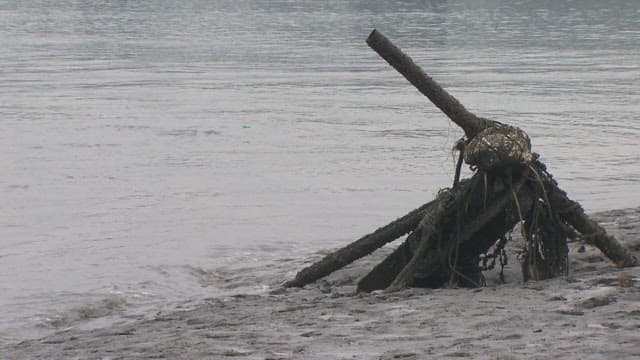 Driftwood and debris on a tranquil shoreline