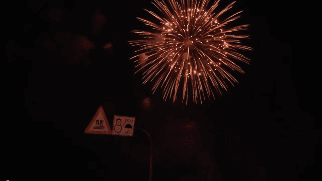 Fireworks lighting up the night sky