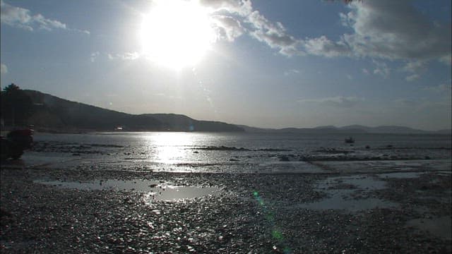 Tractor passing through a sun-drenched mudflat