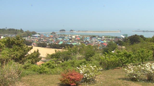 Coastal Village with Greenery and Buildings