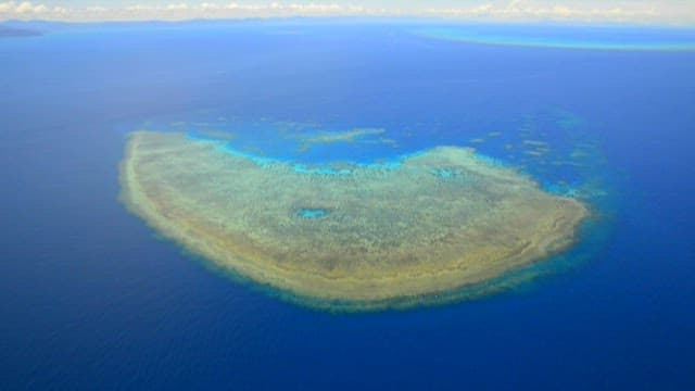 Aerial View of a Peaceful Tropical Coral Reef Island
