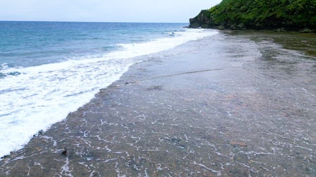Serene Coastal Landscape and Cliffs with Waves