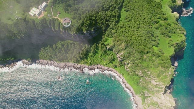 Scenic coastal view with lush greenery