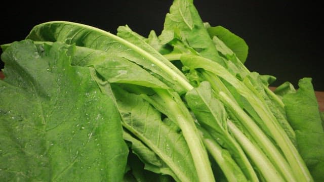 Fresh green leafy young radish in a basket