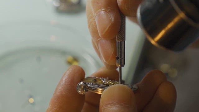 Close-Up of Precision Watch Repair