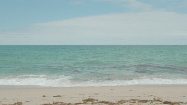 Serene Seaside with Gentle Waves