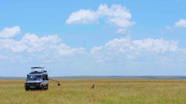 Safari vehicle observing wildlife on the plain