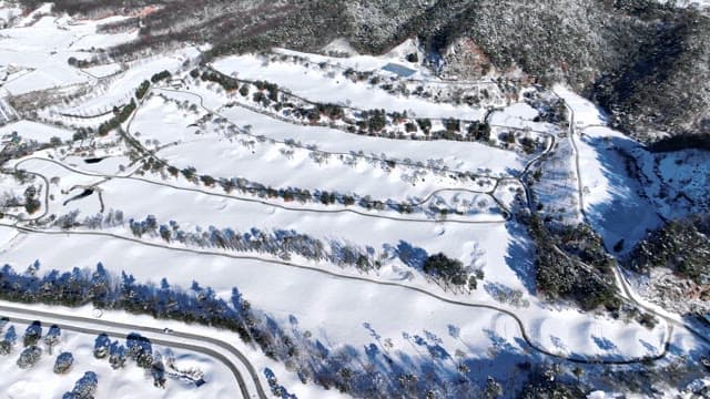 Snow-covered landscape from above