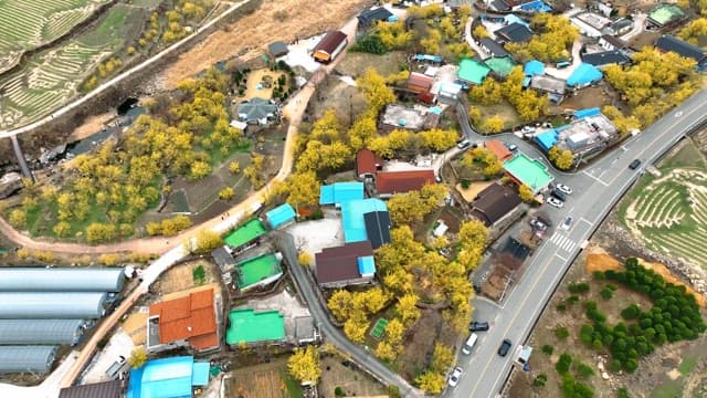 Rural village surrounded by fields and trees