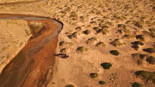 Camels and people in a vast desert