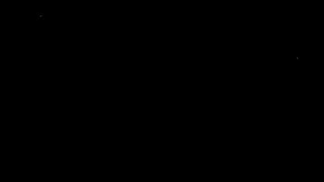 Graphic Effect of Fireflies Illuminating the Darkness