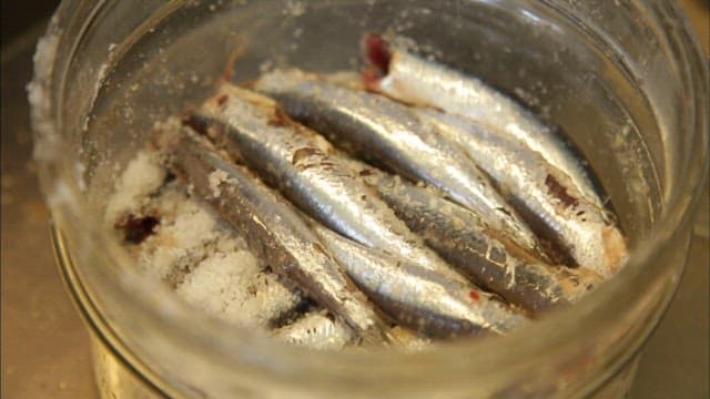 Delicate arrangement of pickled mackerel in a glass jar