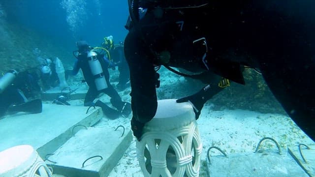 Divers working underwater in a peaceful sea