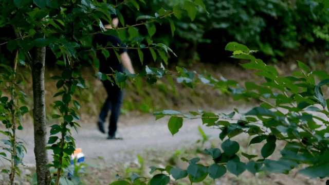 Person walking along a forest path