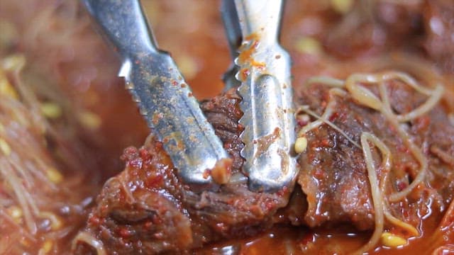 Tender beef rib being gently torn with tongs