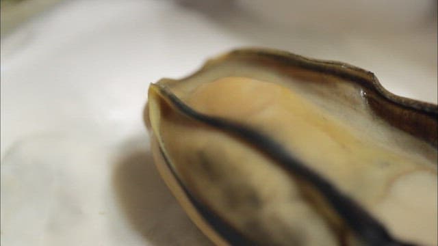 Close-up of a fresh oyster on a plate