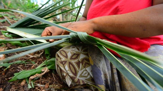 Person weaving palm leaves in a calm outdoor setting