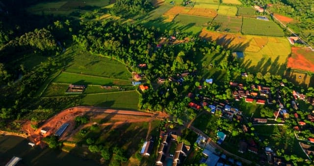 Aerial View of Lush Countryside at Sunrise