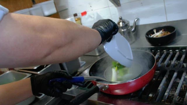 Cooking meat and green onions in a frying pan on the stove