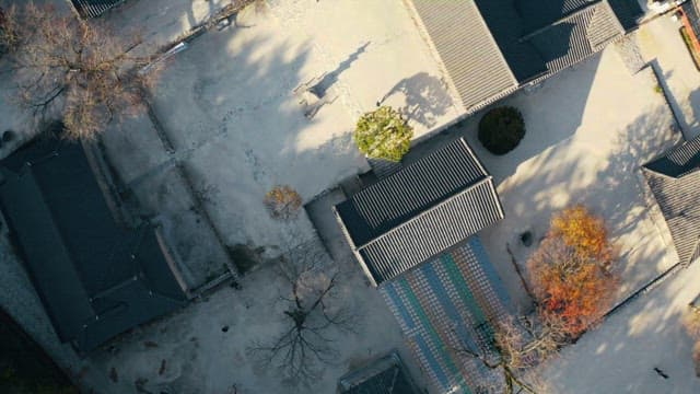 Temple surrounded by maple trees