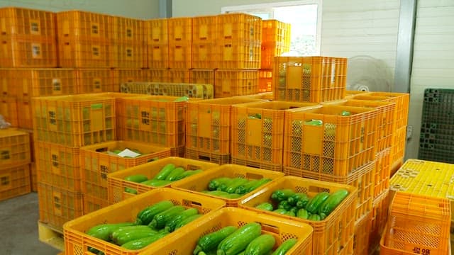 Stack of crates filled with fresh zucchinis in a warehouse