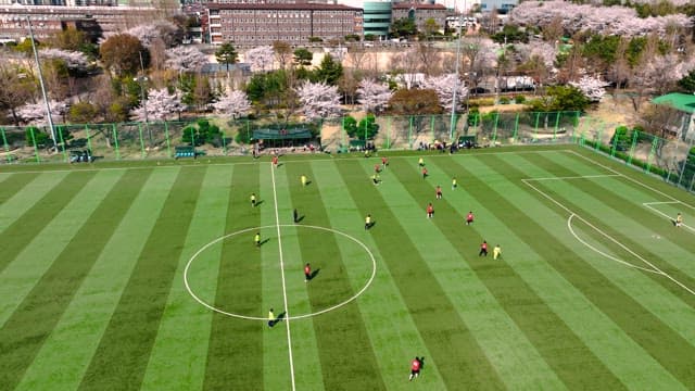 Soccer Game by Blooming Trees in Spring