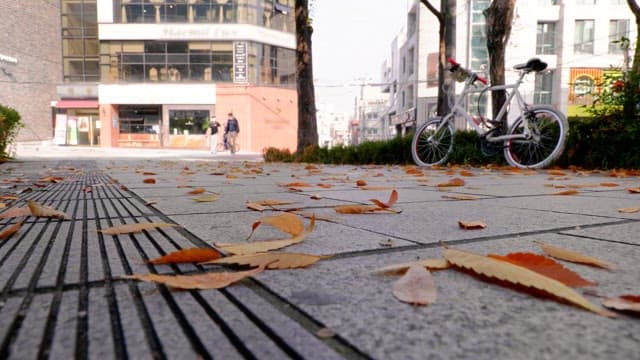 Autumn leaves scattered on an sidewalk