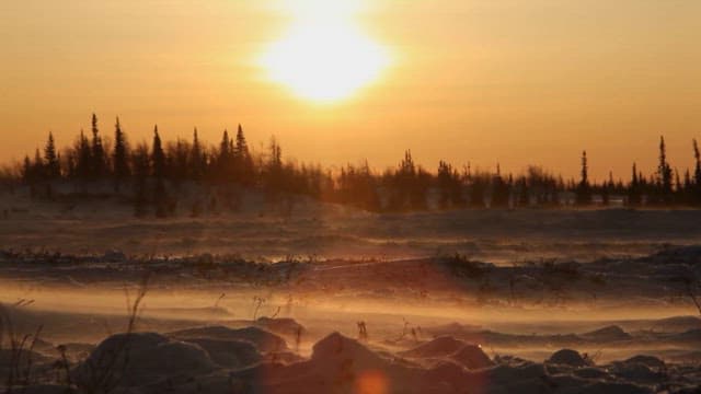 Sunset Over Snowy Landscape with Sled