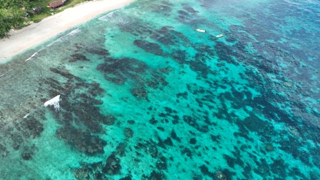 Children running along a quiet beach lined with green trees