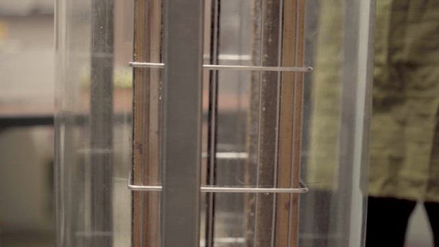 Honey Extractor Rotating to Extract Honey