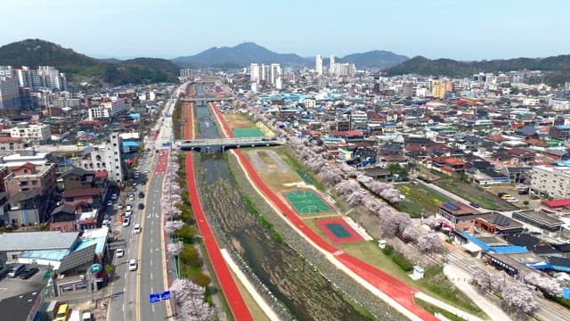 Cityscape with cherry blossoms along a river