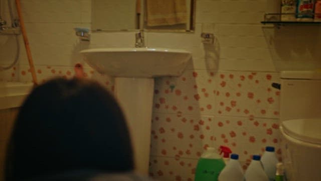 Home Bathroom Scene and Cleaning Products