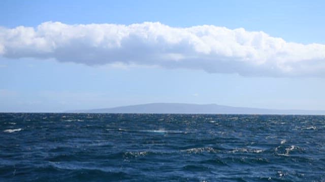 Whale Tail Emerging from Ocean Waves