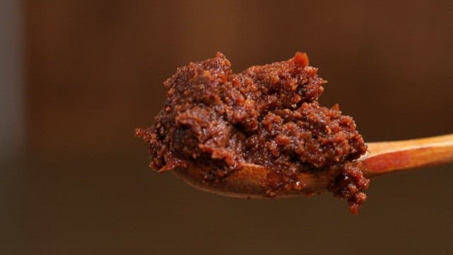 Spoonful of salty traditional Korean soybean paste