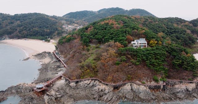 Walkway Between a Autumn Forest and a Blue Sea