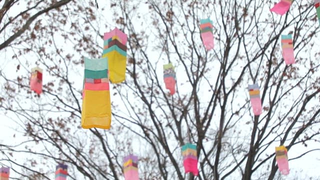 Lanterns on Trees for a Festive Atmosphere and a Statue of Admiral Yi Sun-shin 