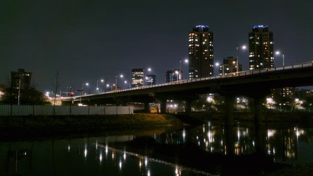 Night view of a city bridge and buildings