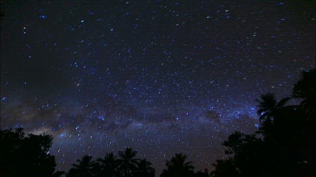 Starry Night Sky Over Tropical Silhouette
