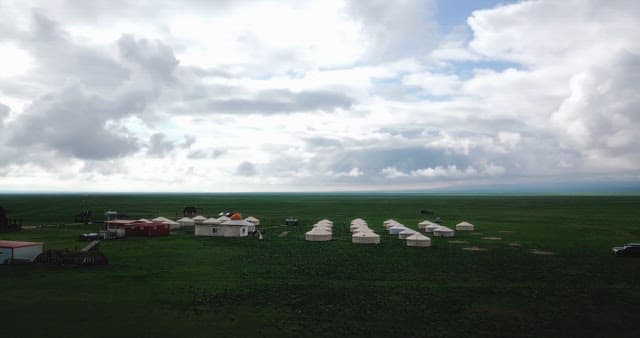 Vast green field with traditional yurts