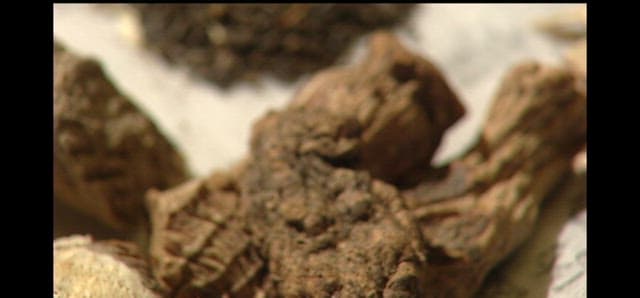 Dried Herbs Used as Ingredients in Herbal Medicine