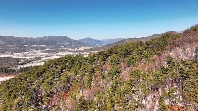 Snowy Landscape with Greenery and Mountains