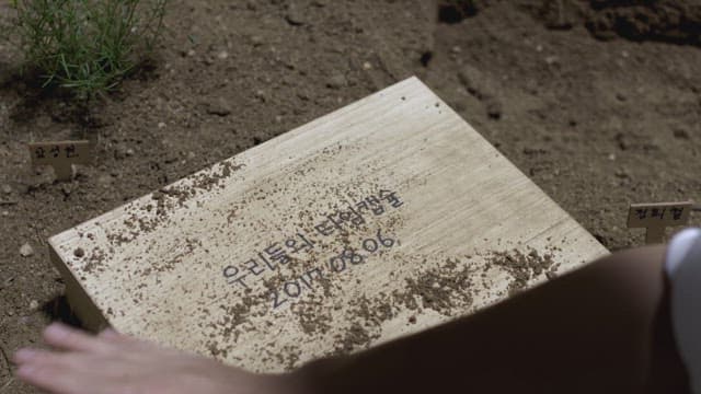 Uncovering a time capsule buried in the soil.