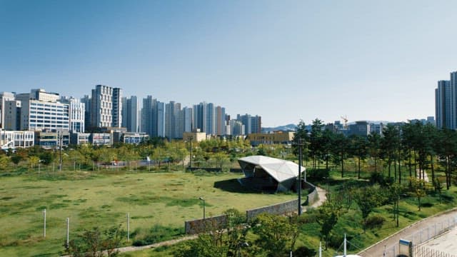 City park with skyscrapers in the background