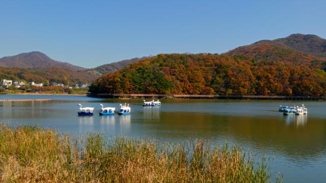 Swan-shaped pedal boats on a serene lake with mountainous autumnal backdrop