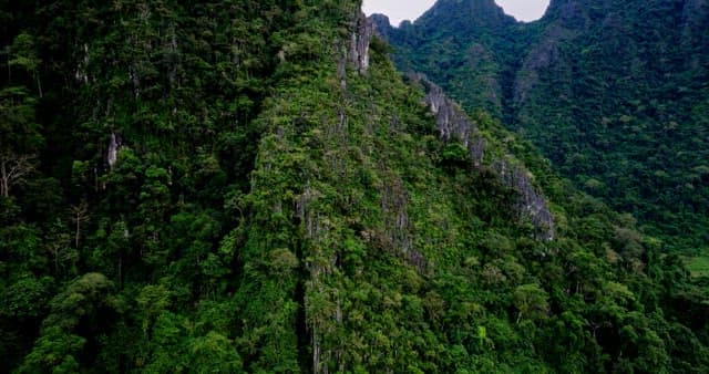 Lush Greenery Covering Majestic Mountain Range