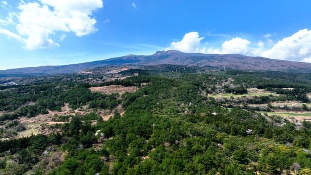 Vast landscape with mountains and forests