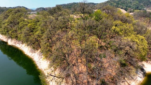 Scenic view of lush forests with distant mountains