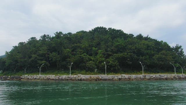 Forested island with a rocky shoreline
