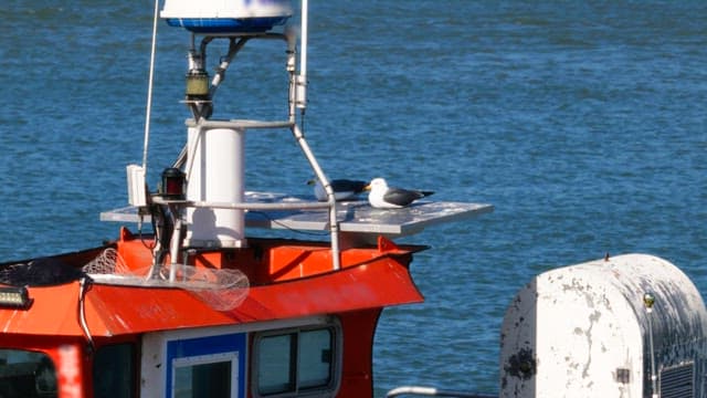 Two seagulls resting on a boat anchored by the water