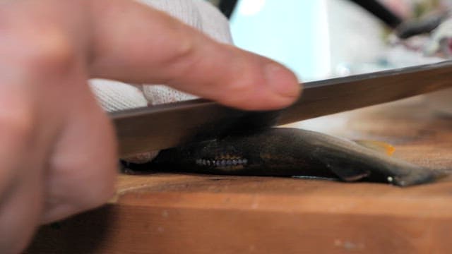 Fresh gizzard shad preparation on a wooden cutting board